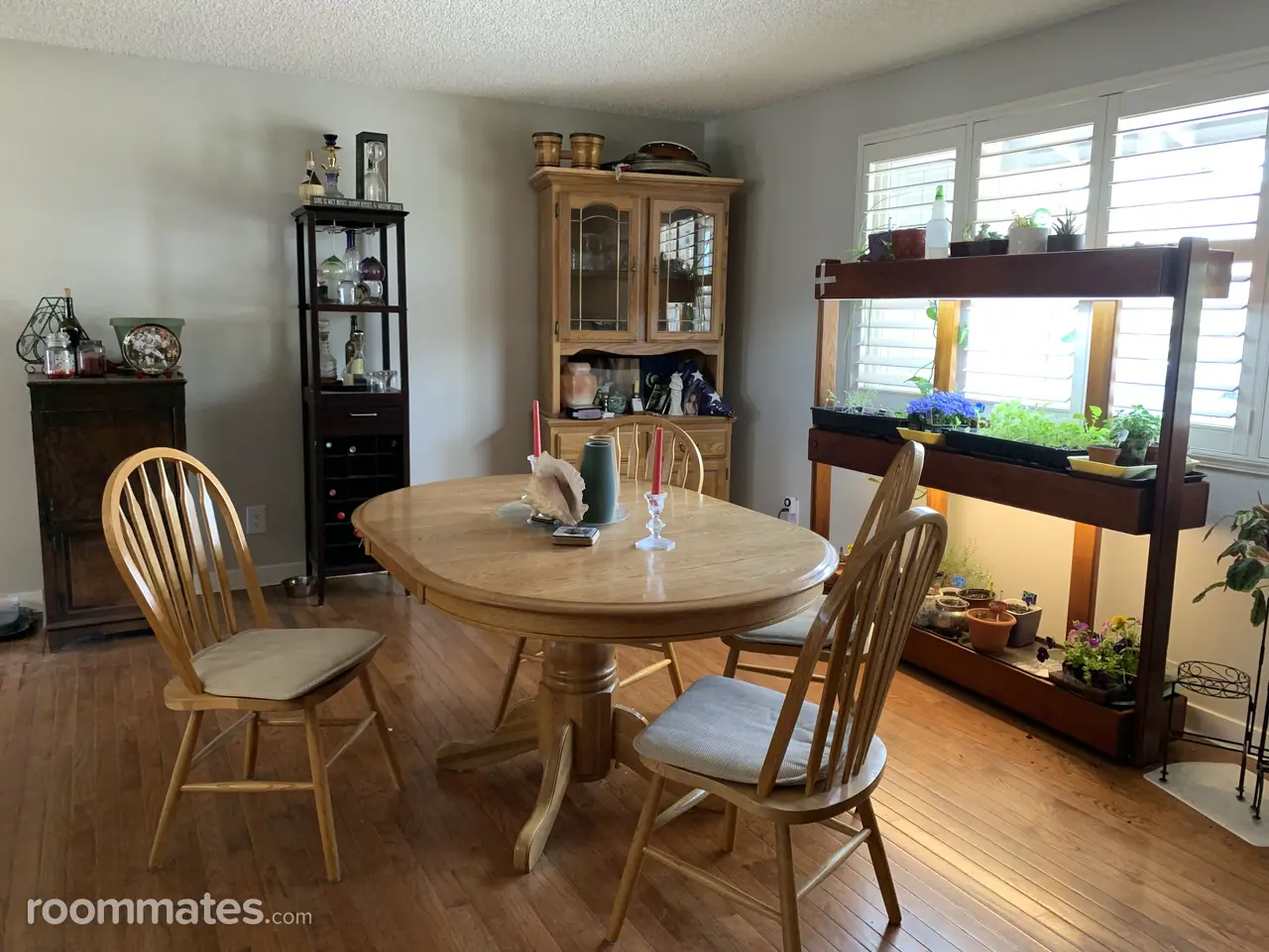 Profile photo 8 of 9