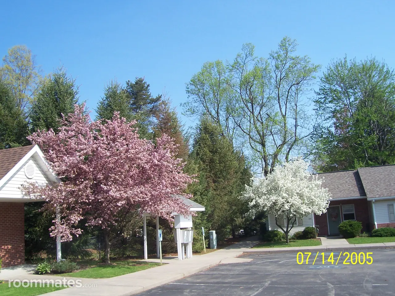 Profile photo 1 of 1