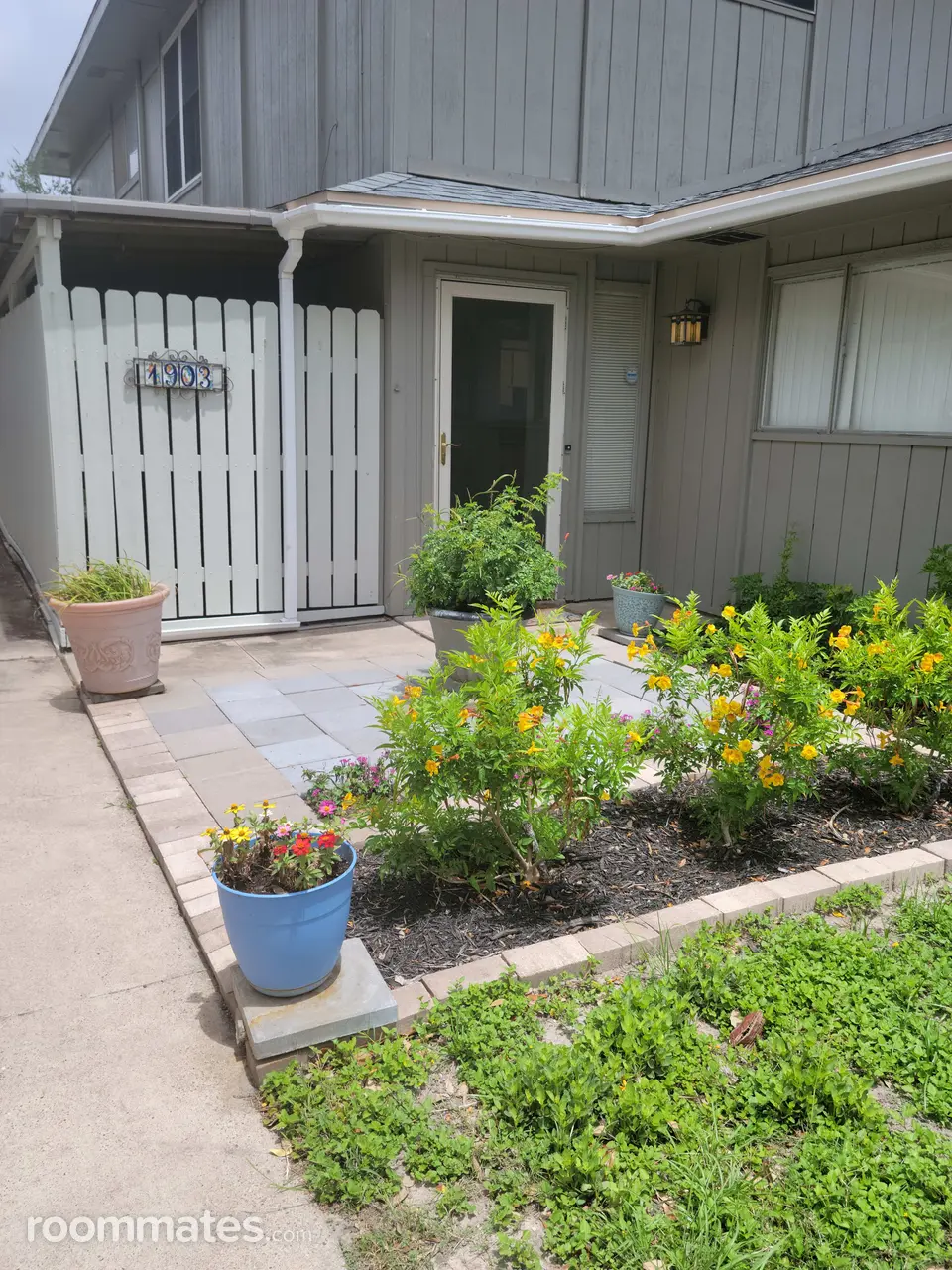 Profile photo 10 of 11