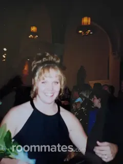 Roommate looking Bridgewater, MA, $800