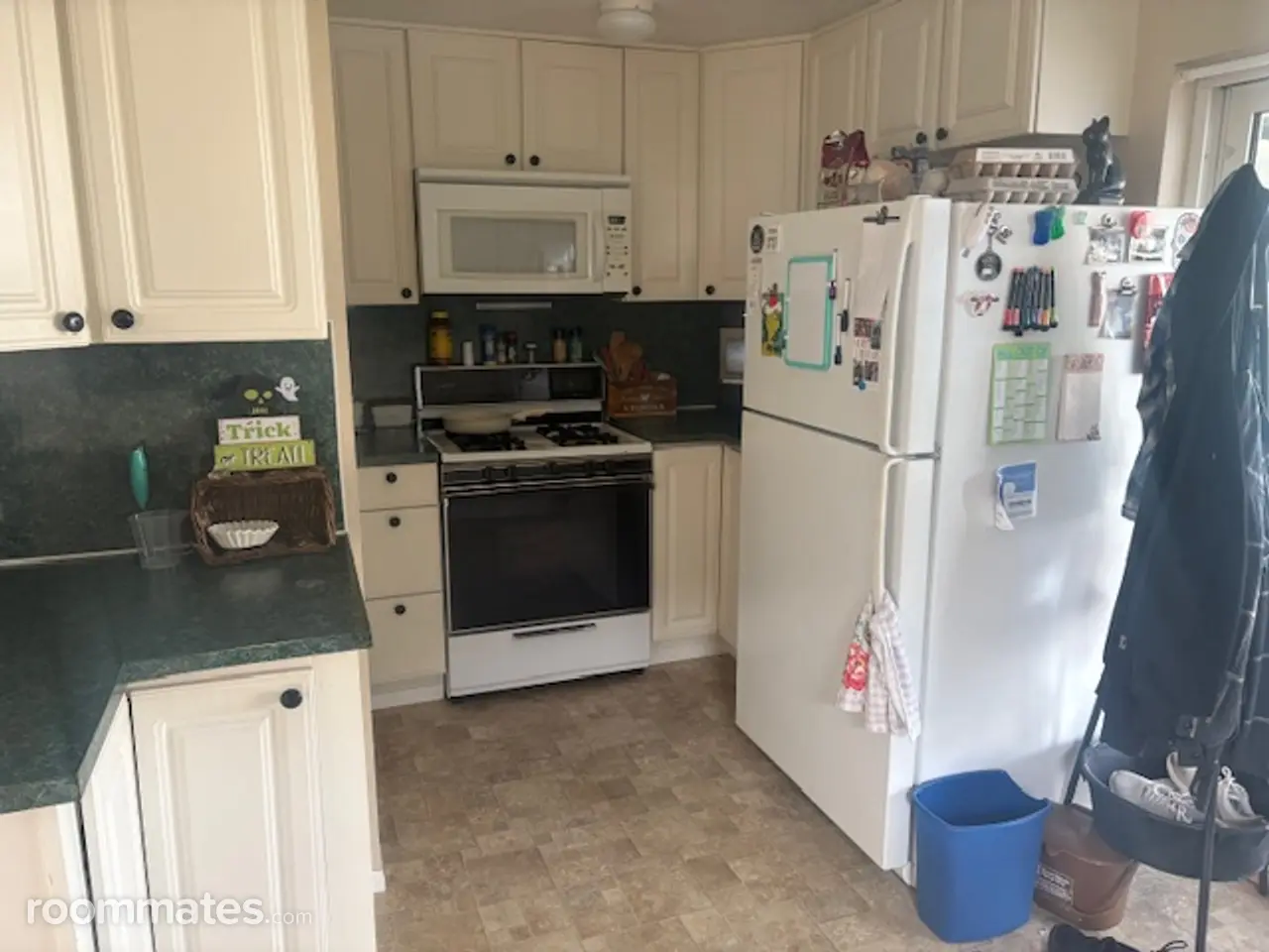 Profile photo 5 of 12