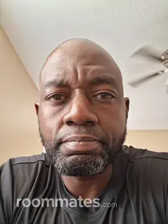 Roommate looking New Orleans Station, LA, $400