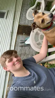 Roommate looking Morgantown, WV, $800