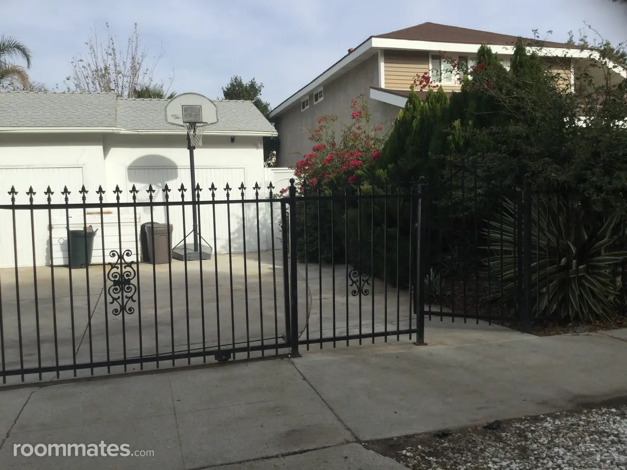 Profile photo 11 of 11