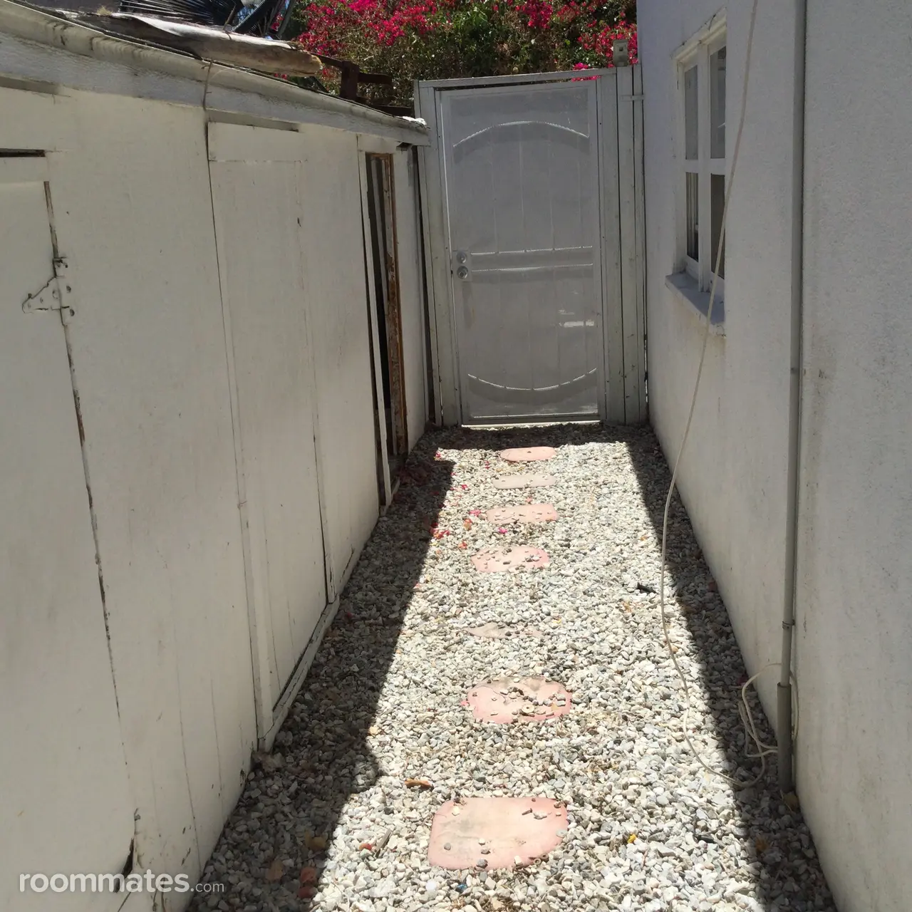 Profile photo 3 of 11