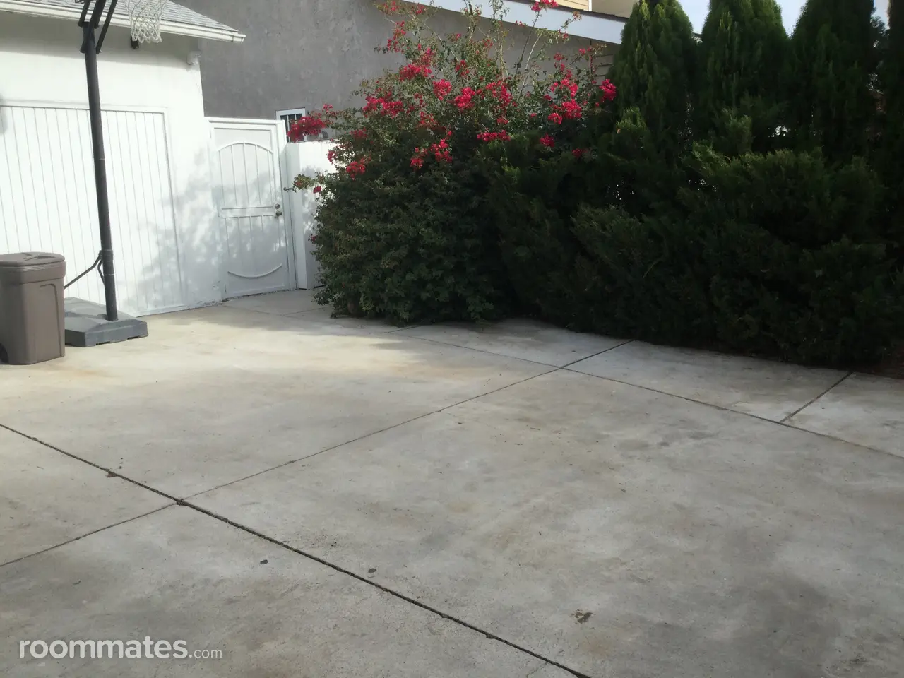 Profile photo 2 of 11