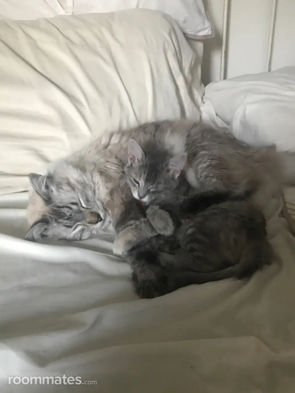 Profile photo 4 of 5