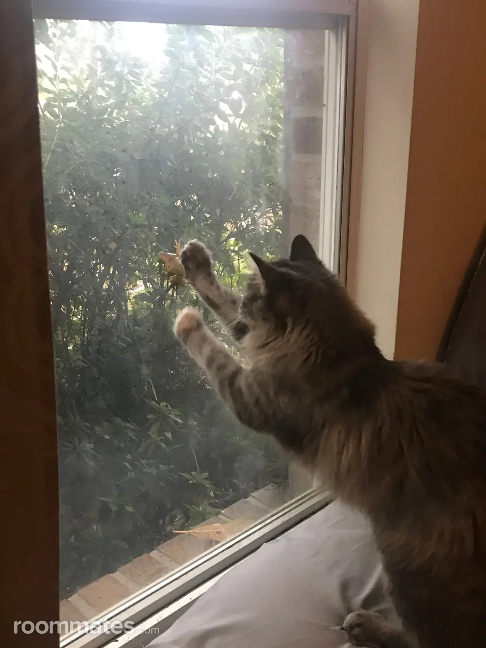 Profile photo 5 of 5