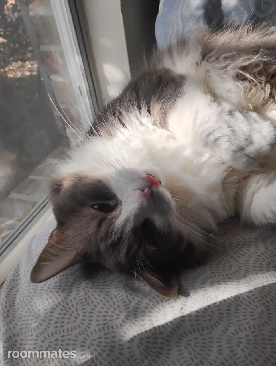 Profile photo 3 of 5