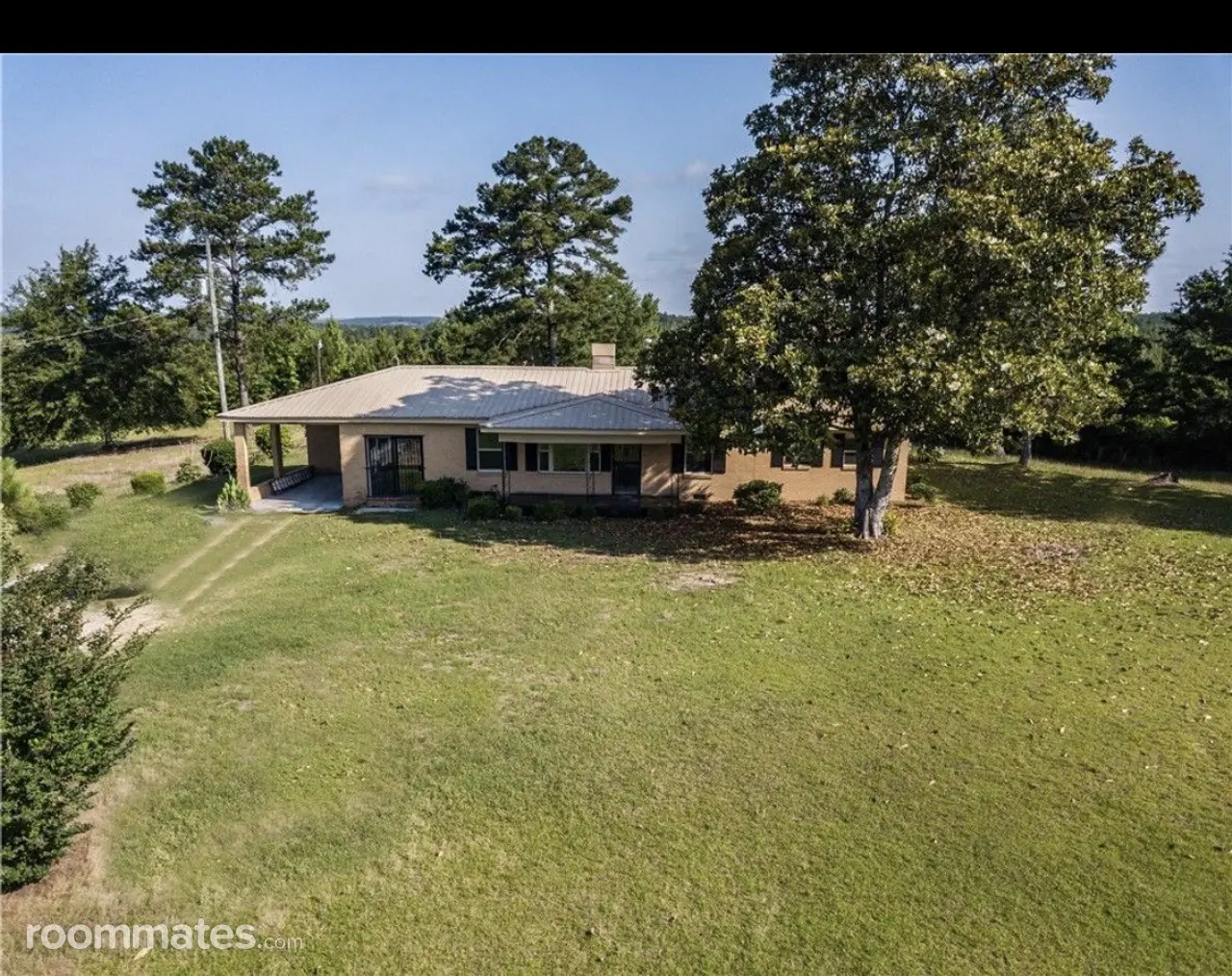 Profile photo 9 of 10