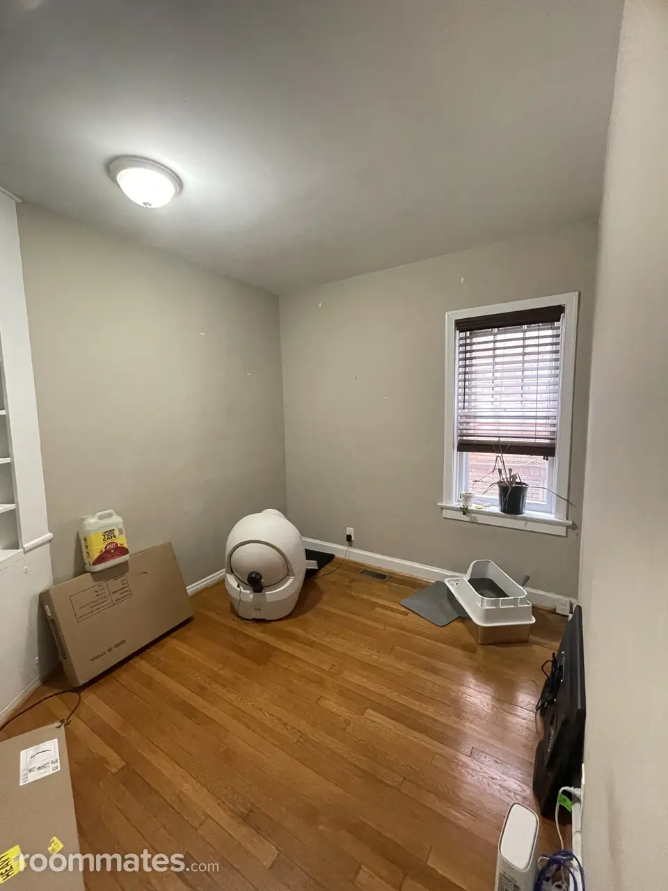 Profile photo 1 of 4