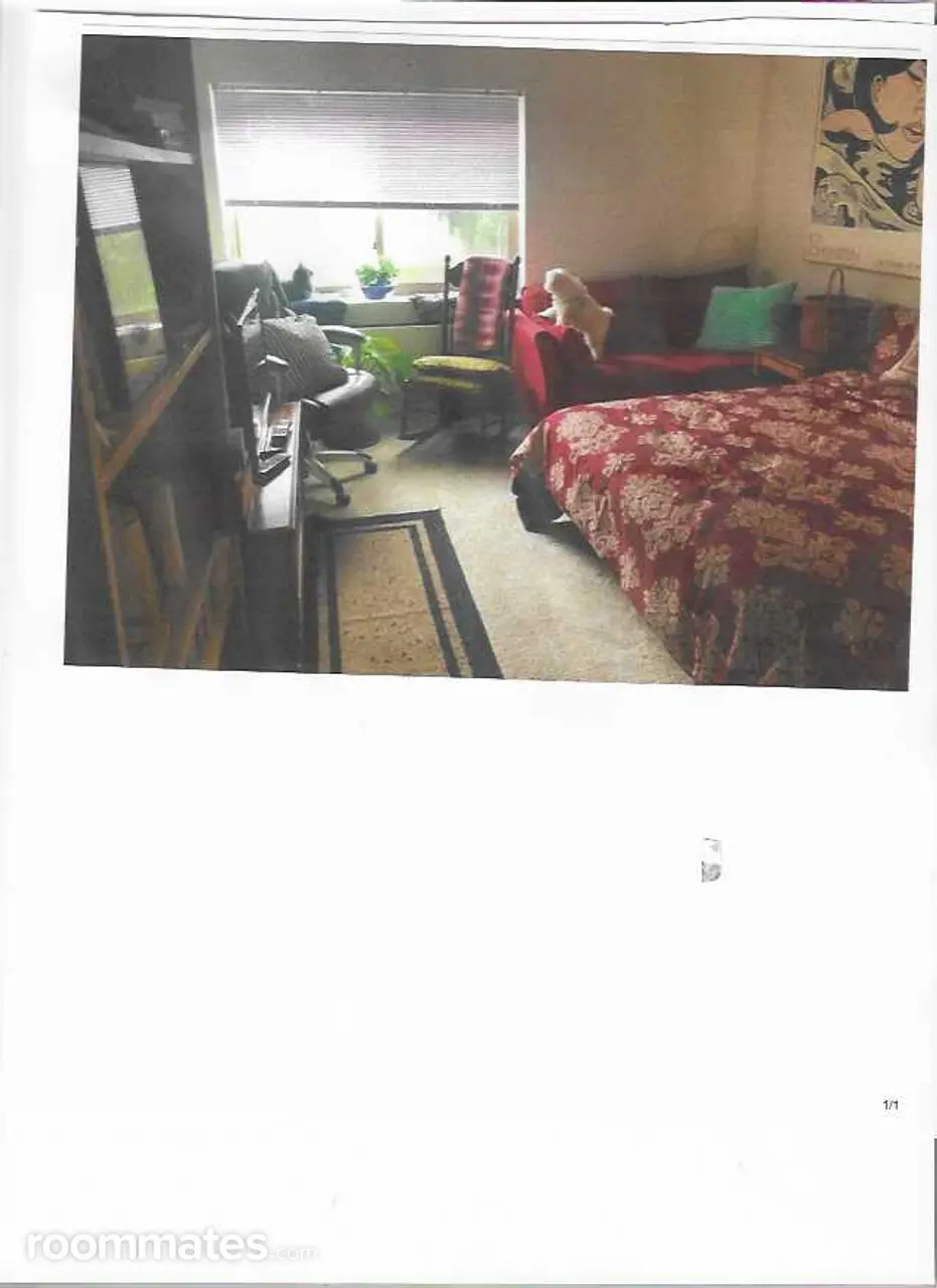 Profile photo 4 of 13