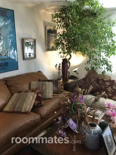 Room for rent in Norristown, PA $700, apartment