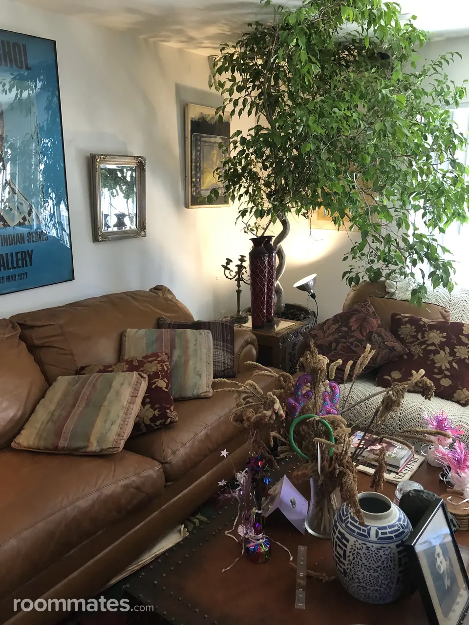 Profile photo 2 of 13