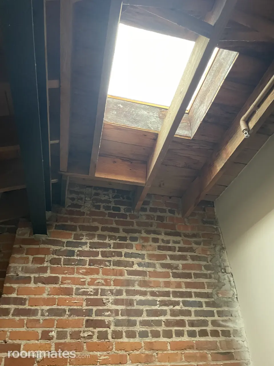 Profile photo 4 of 21