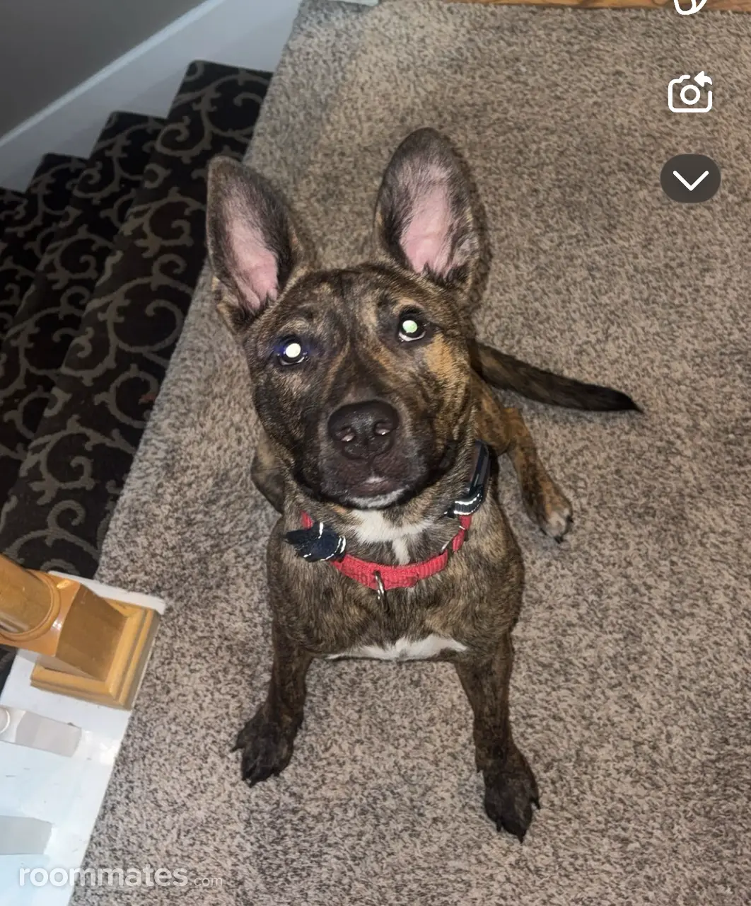 Profile photo 12 of 18