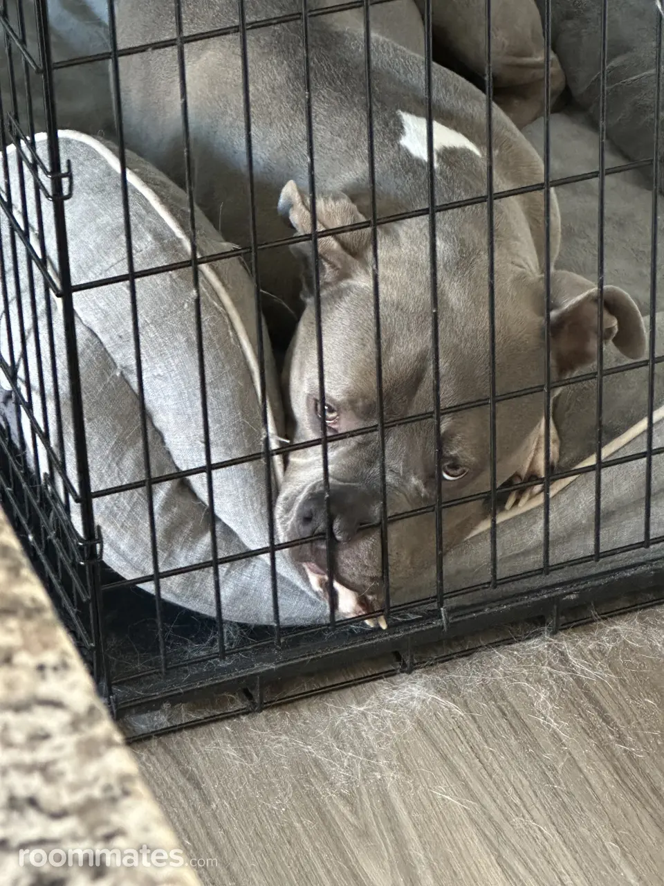 Profile photo 7 of 10