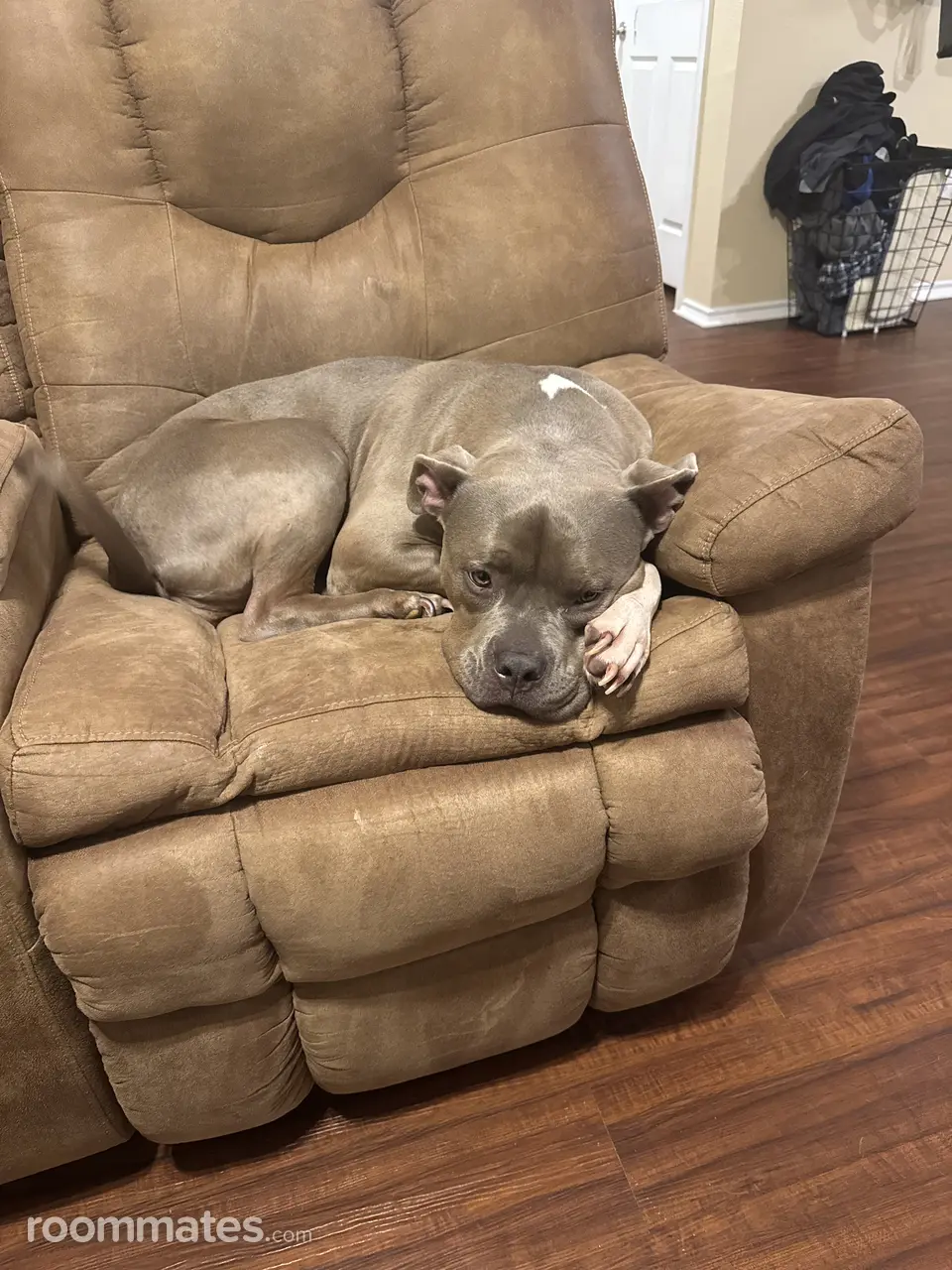 Profile photo 9 of 10