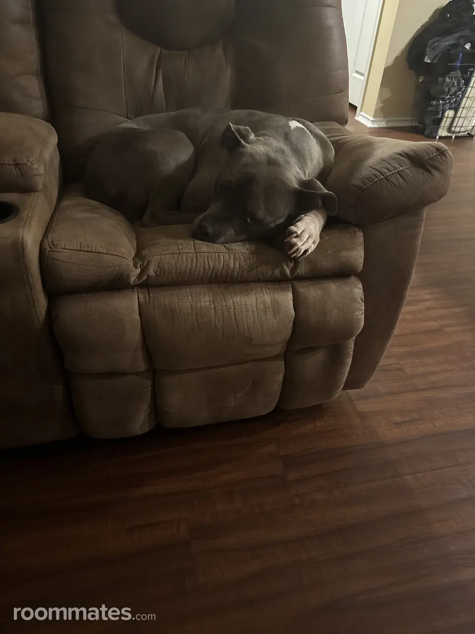 Profile photo 5 of 10