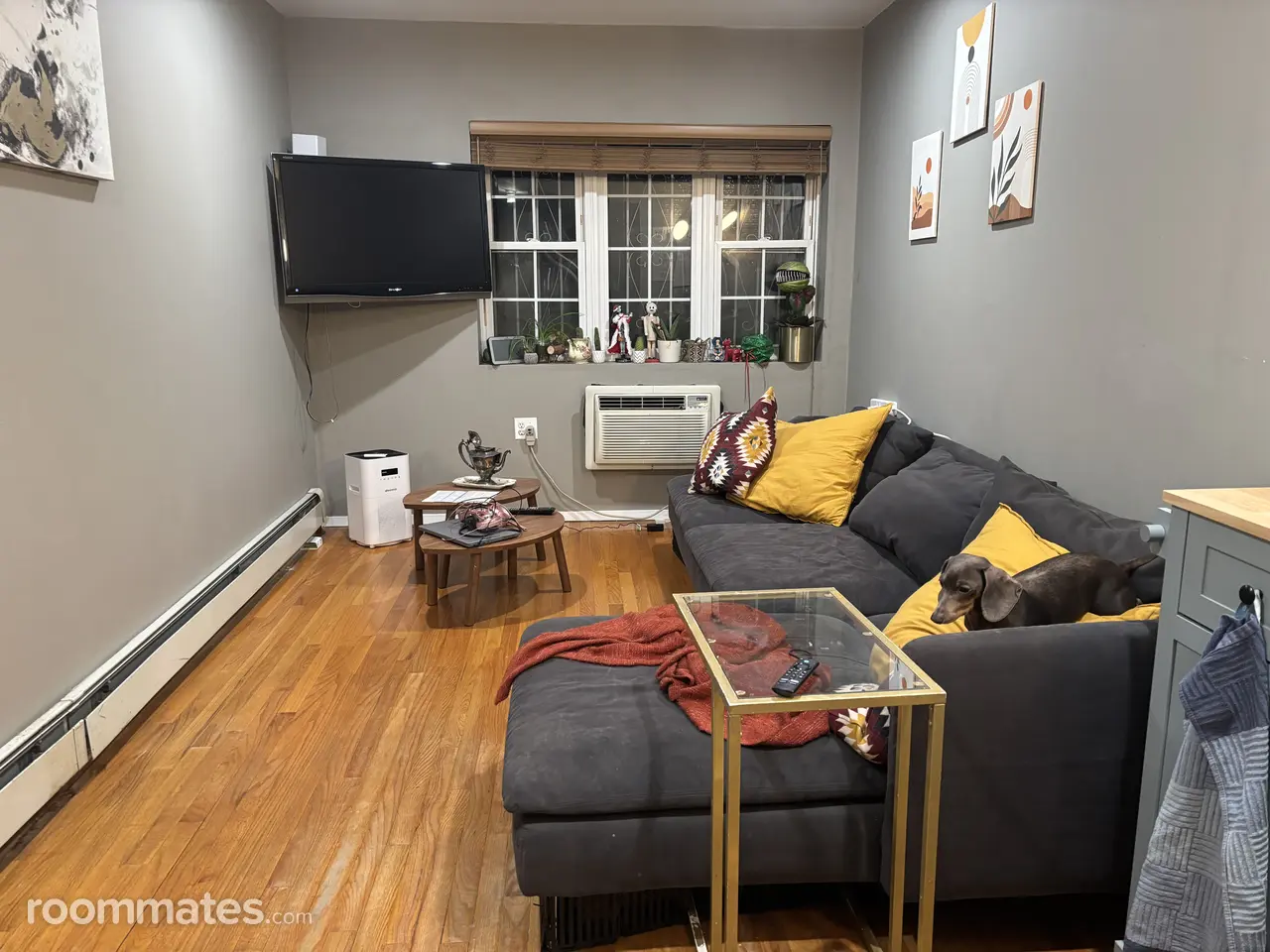 Profile photo 8 of 9