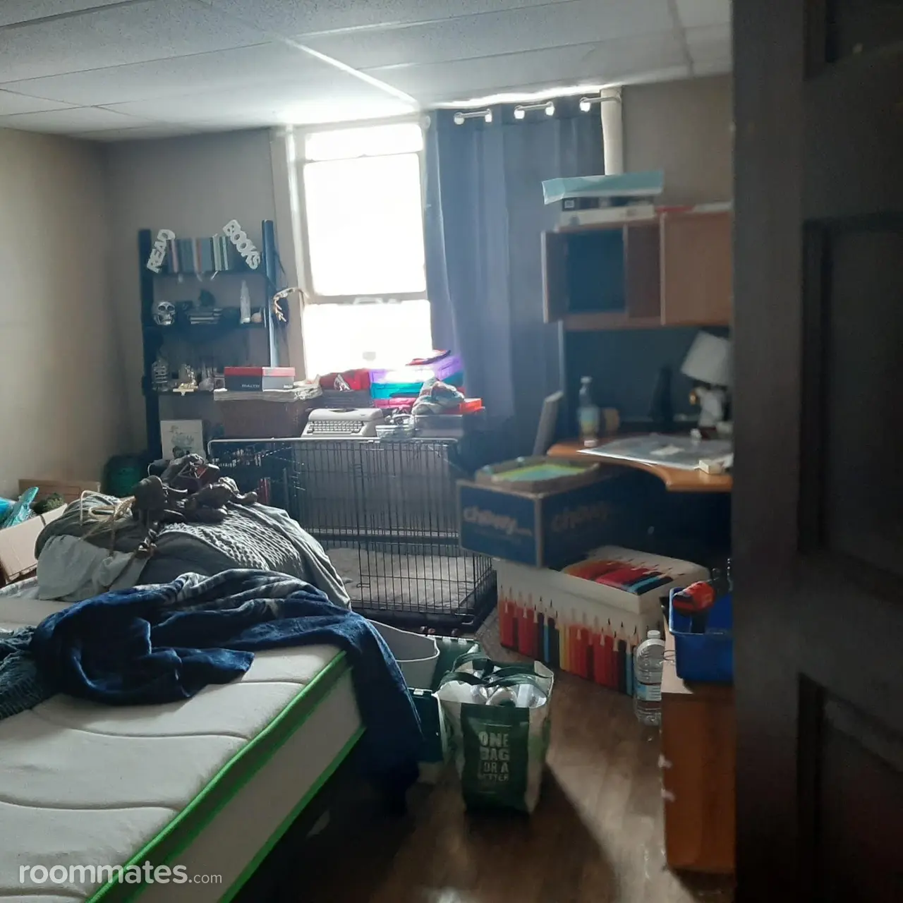 Profile photo 4 of 9