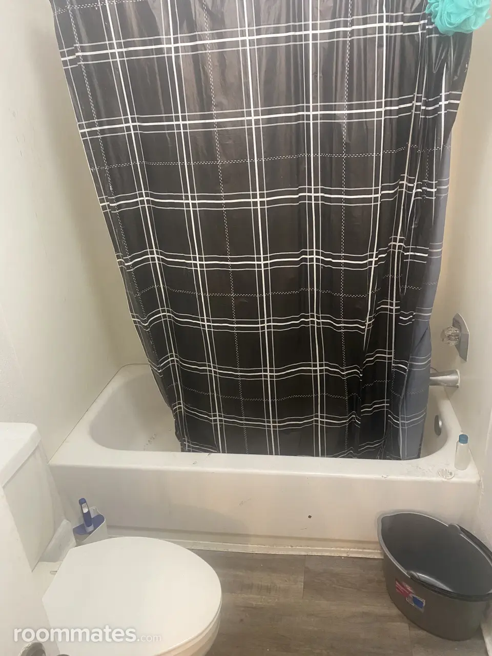 Profile photo 9 of 11