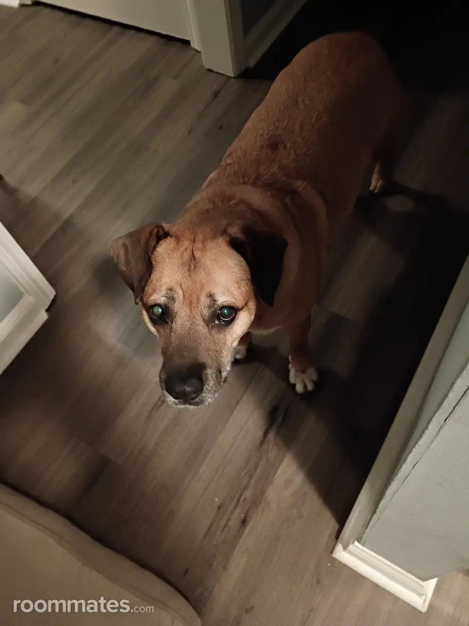 Profile photo 3 of 4