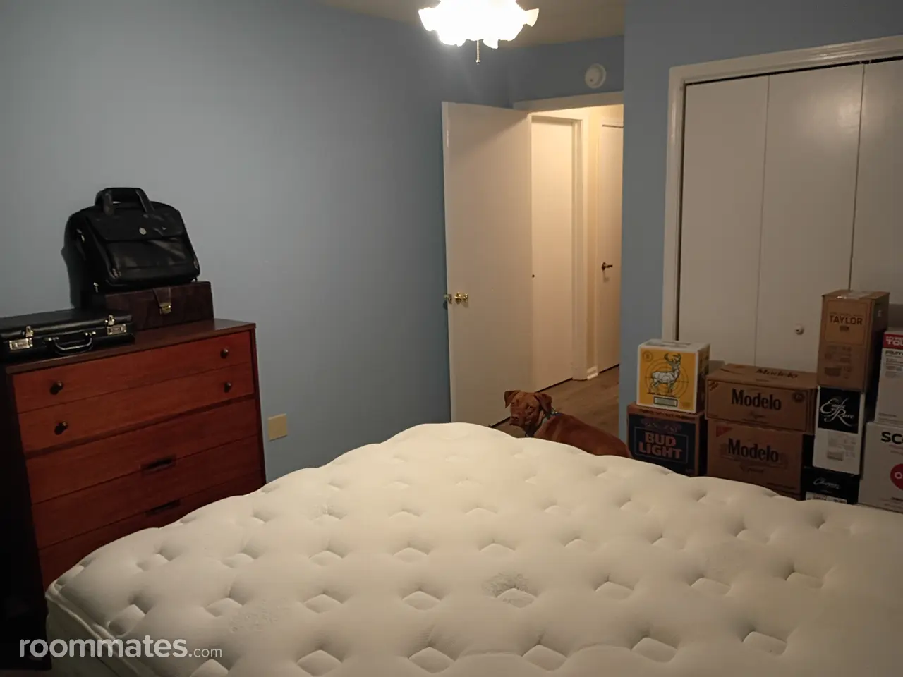 Profile photo 2 of 4