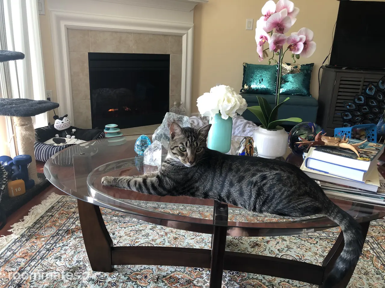 Profile photo 11 of 13