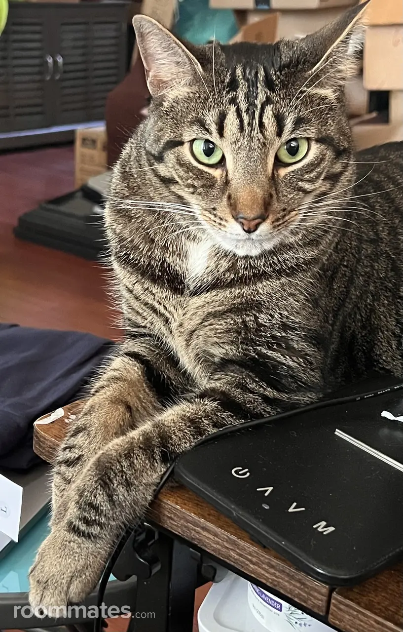 Profile photo 9 of 13