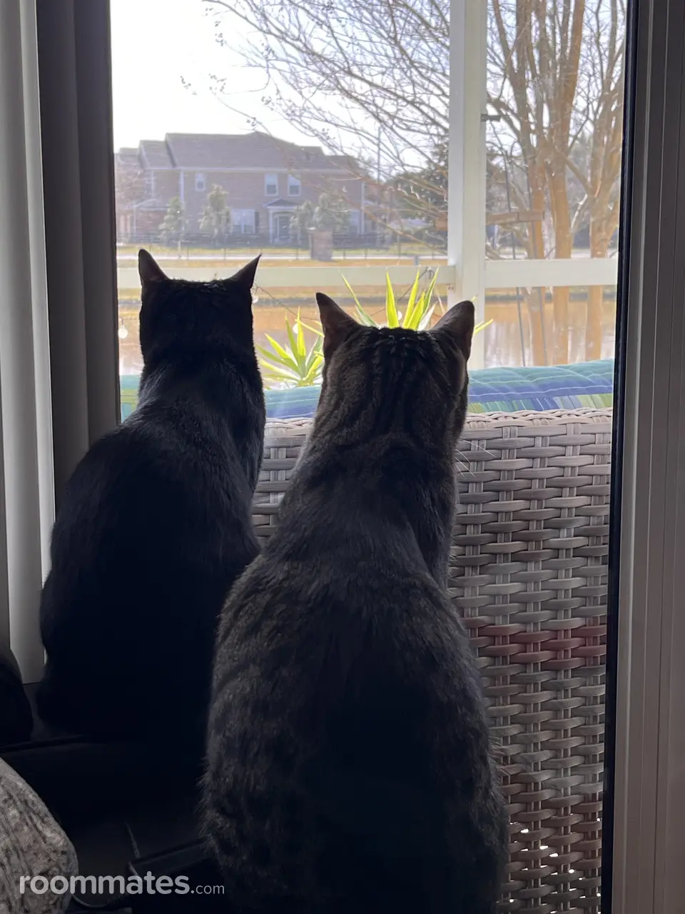 Profile photo 12 of 13