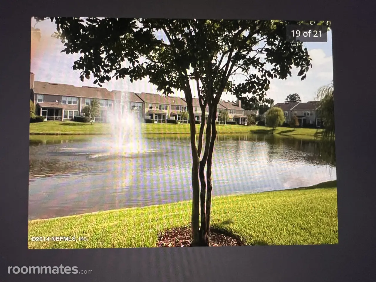 Profile photo 7 of 13