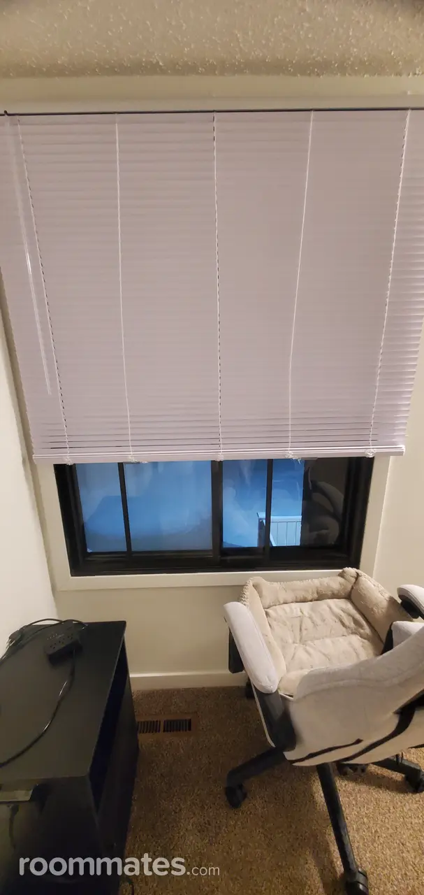 Profile photo 3 of 8