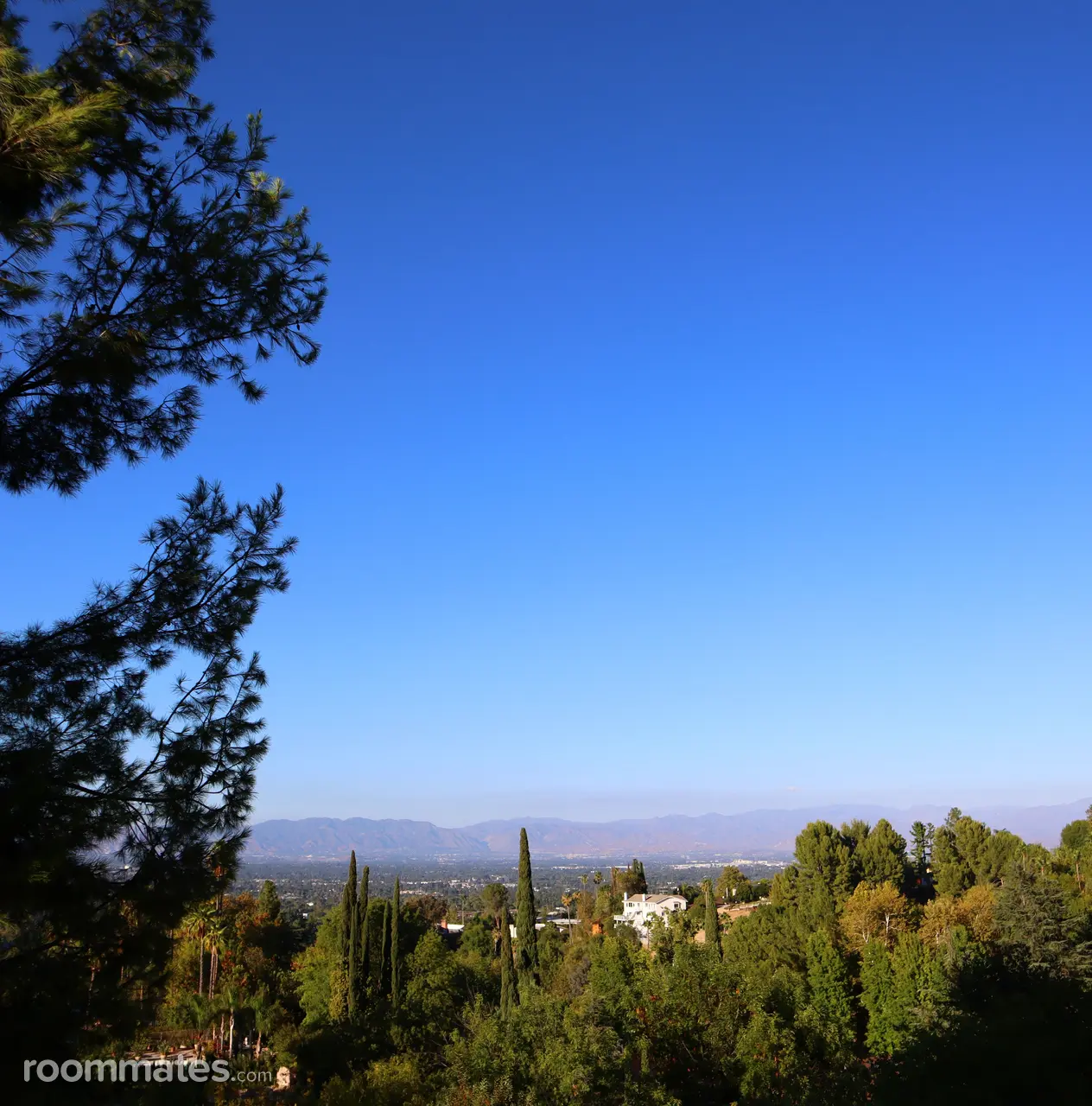 Profile photo 7 of 9