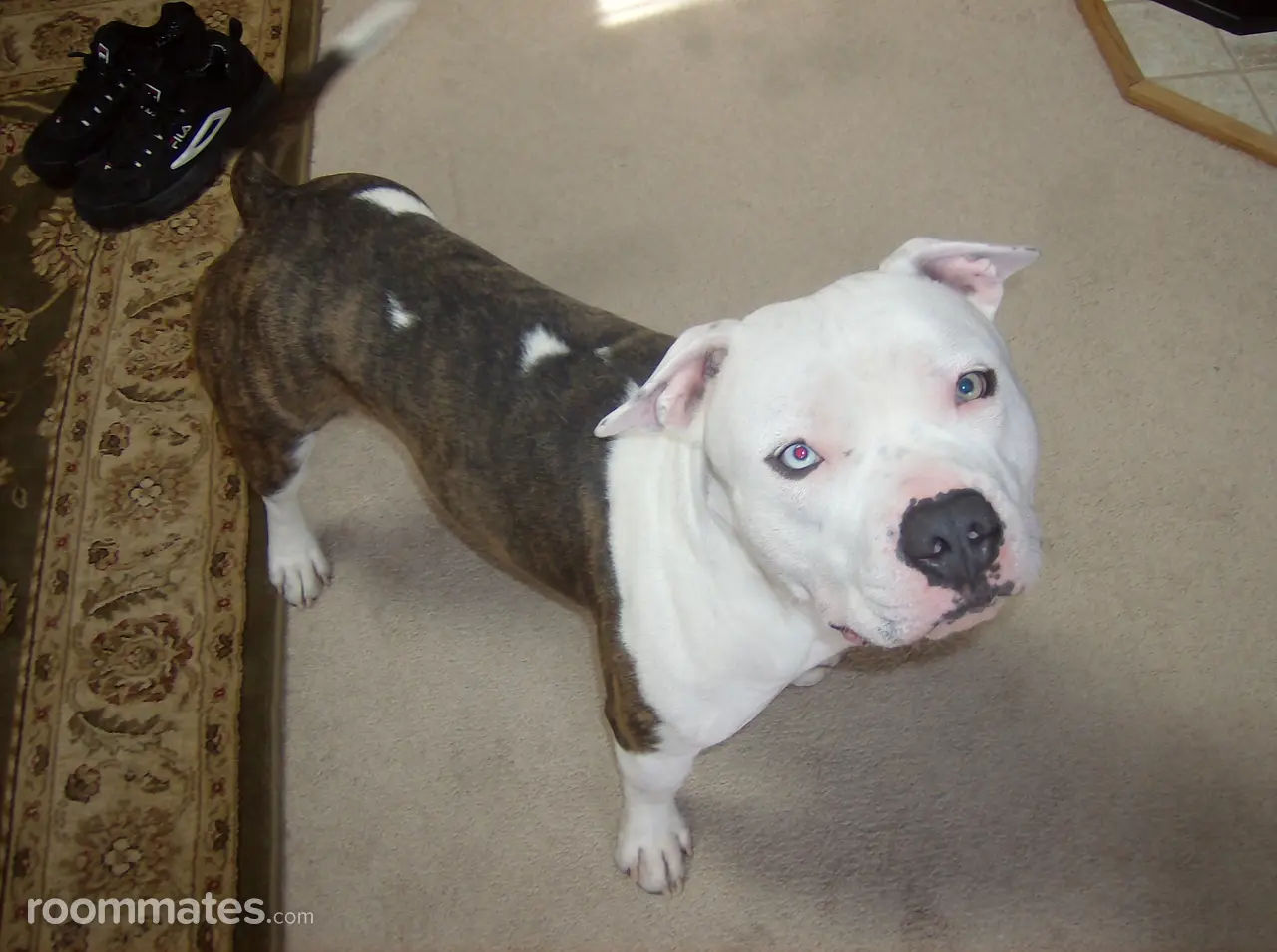 Profile photo 2 of 3