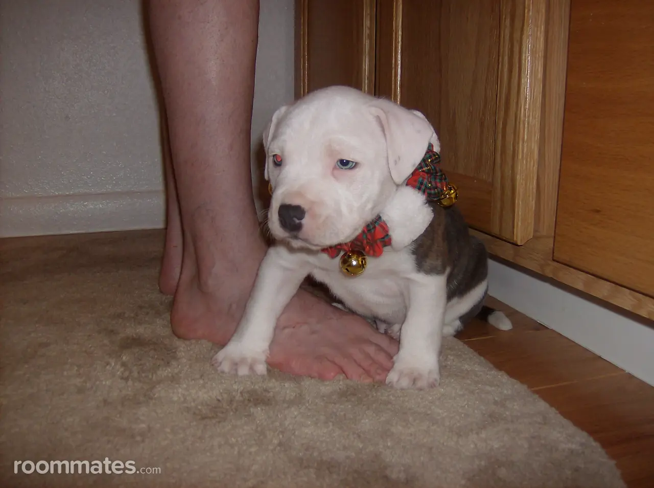 Profile photo 3 of 3