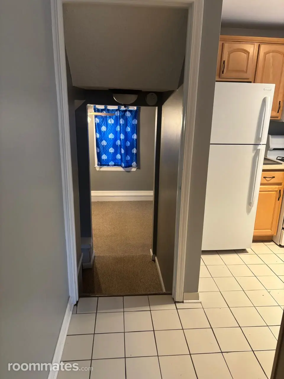 Profile photo 3 of 11