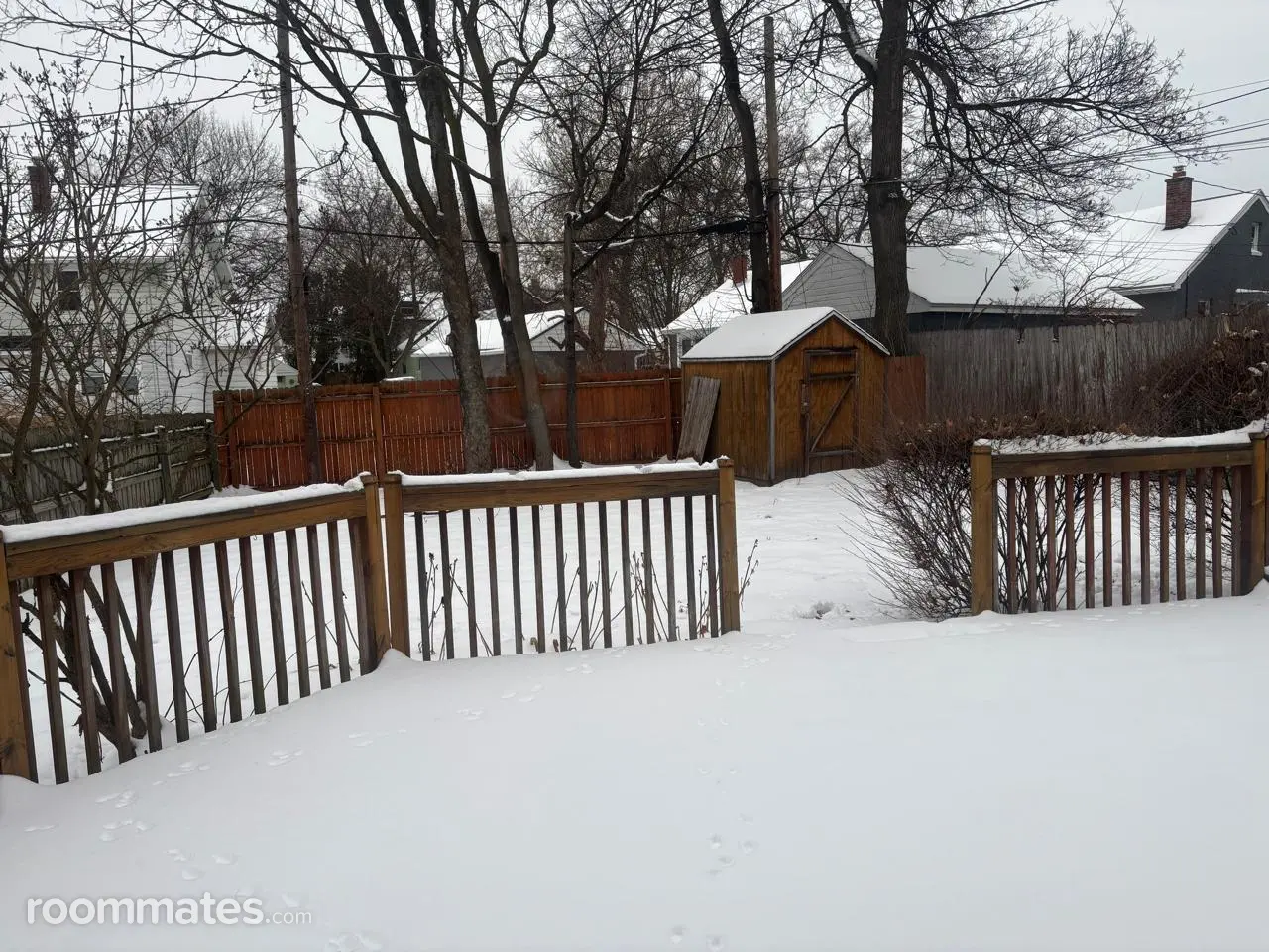 Profile photo 10 of 11