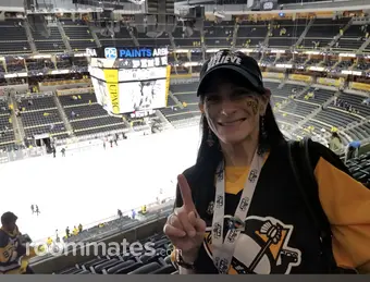 Roommate looking Bethel Park, PA, $700