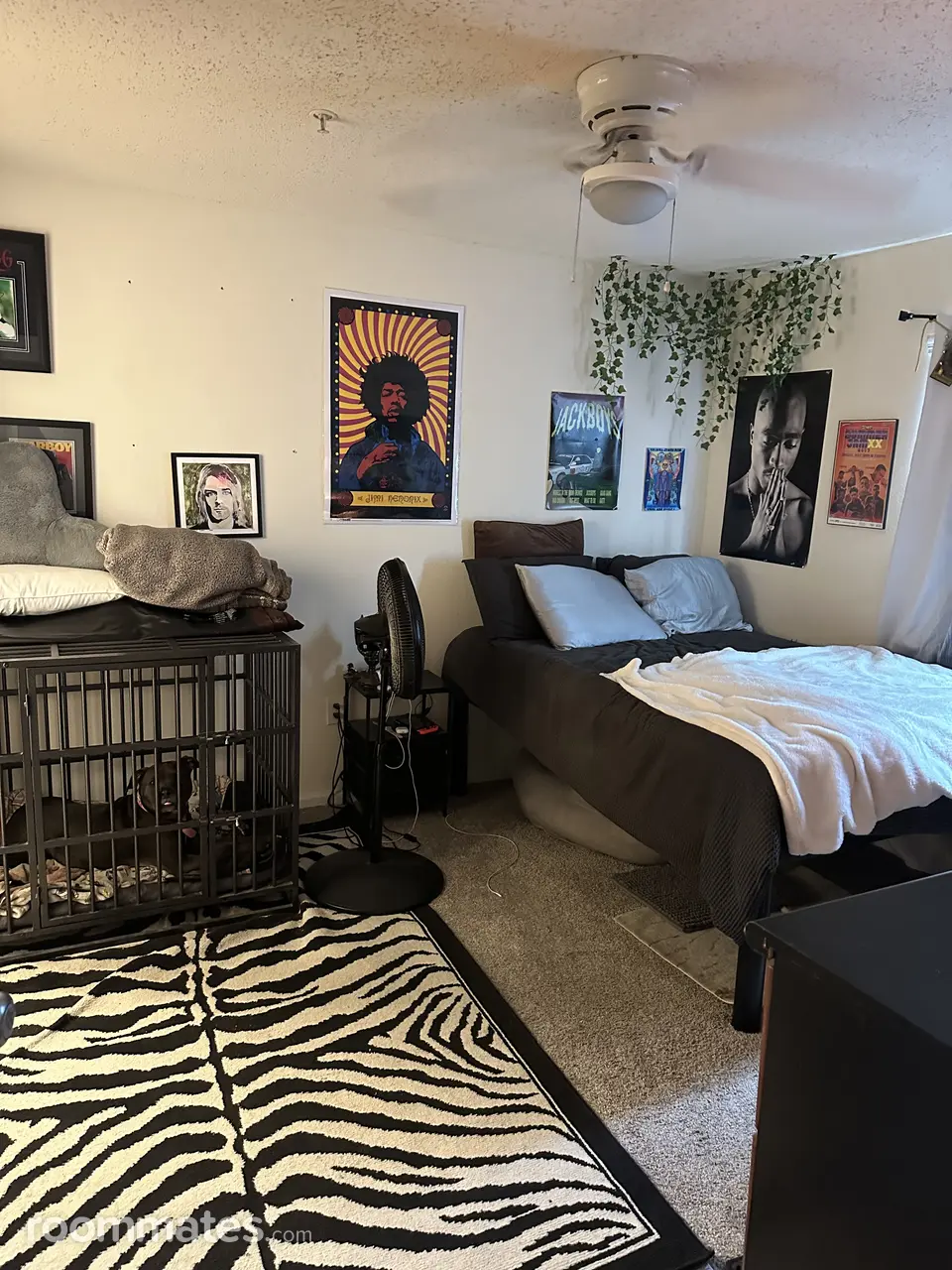 Profile photo 4 of 5