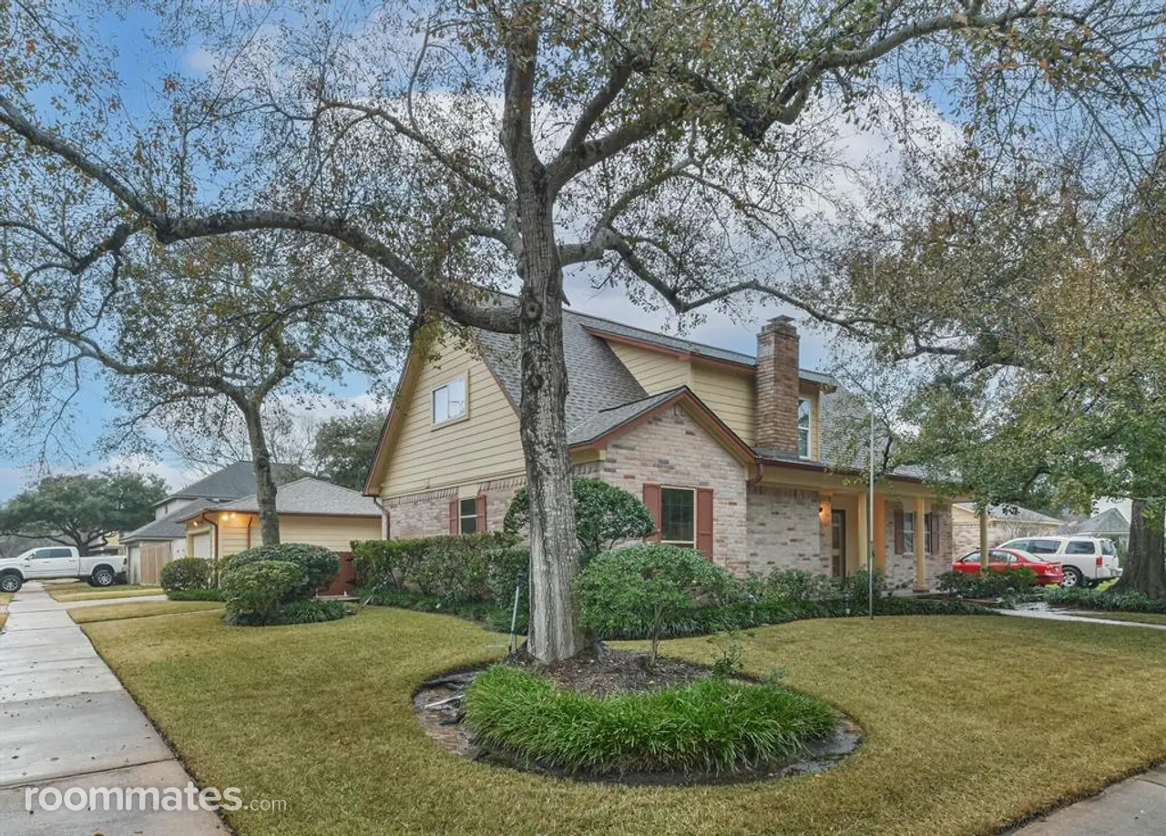 Profile photo 10 of 11