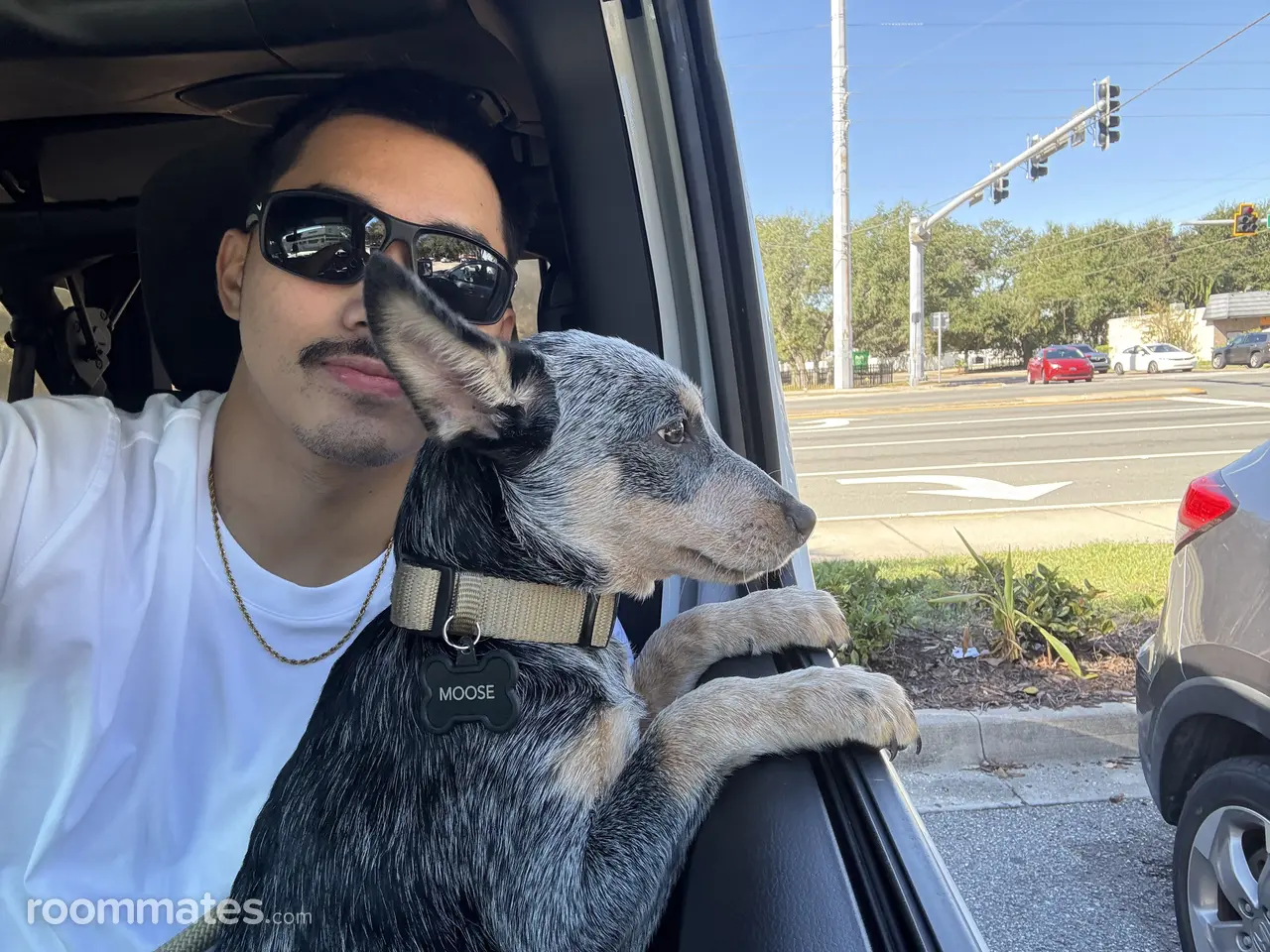 Profile photo 12 of 13