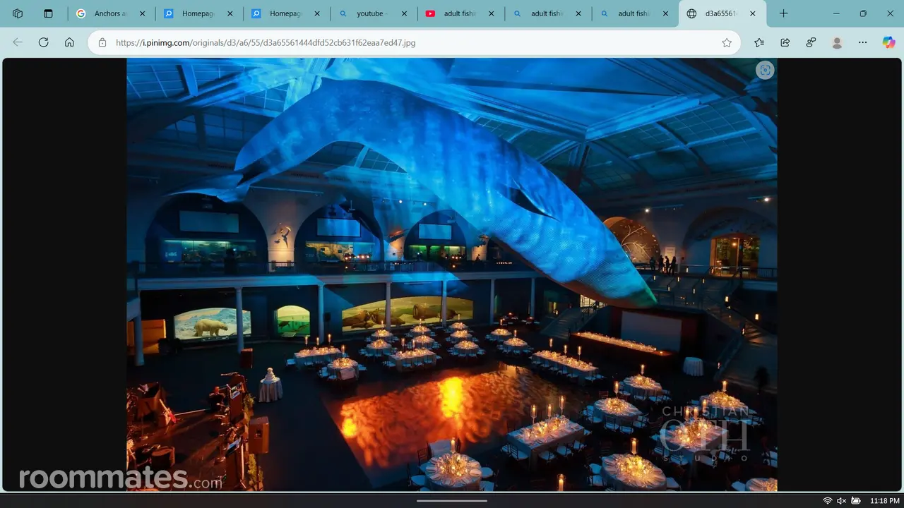 Profile photo 6 of 6