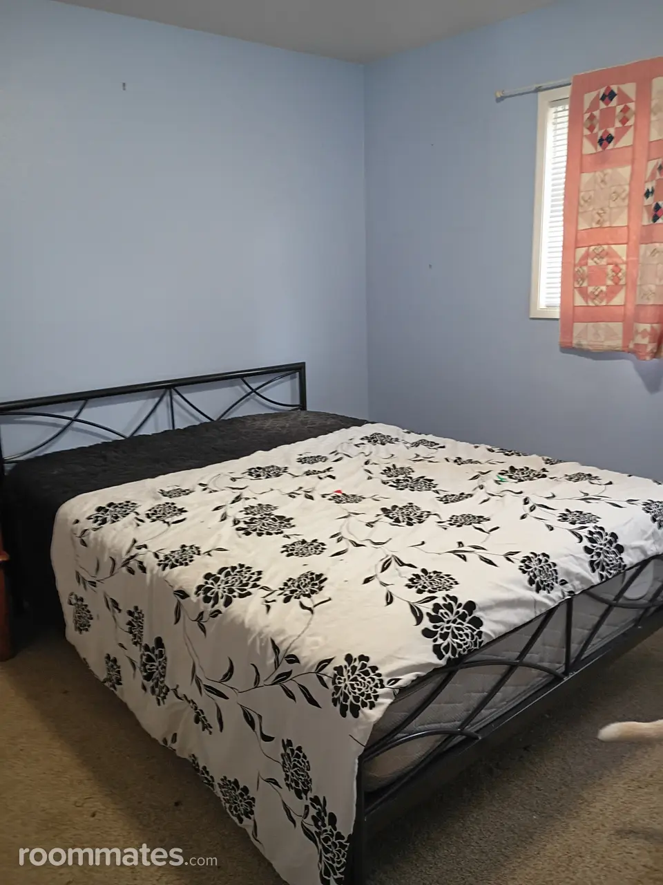 Profile photo 8 of 9