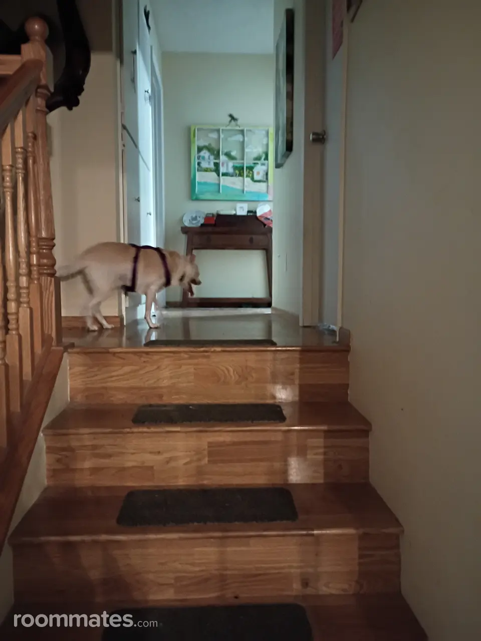 Profile photo 1 of 9