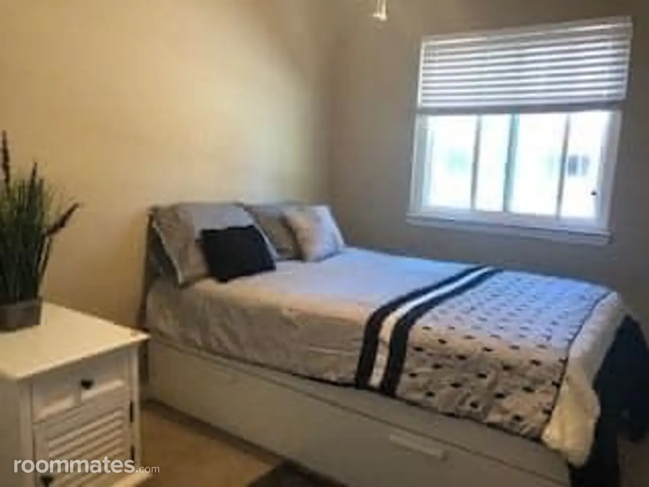 Profile photo 6 of 7