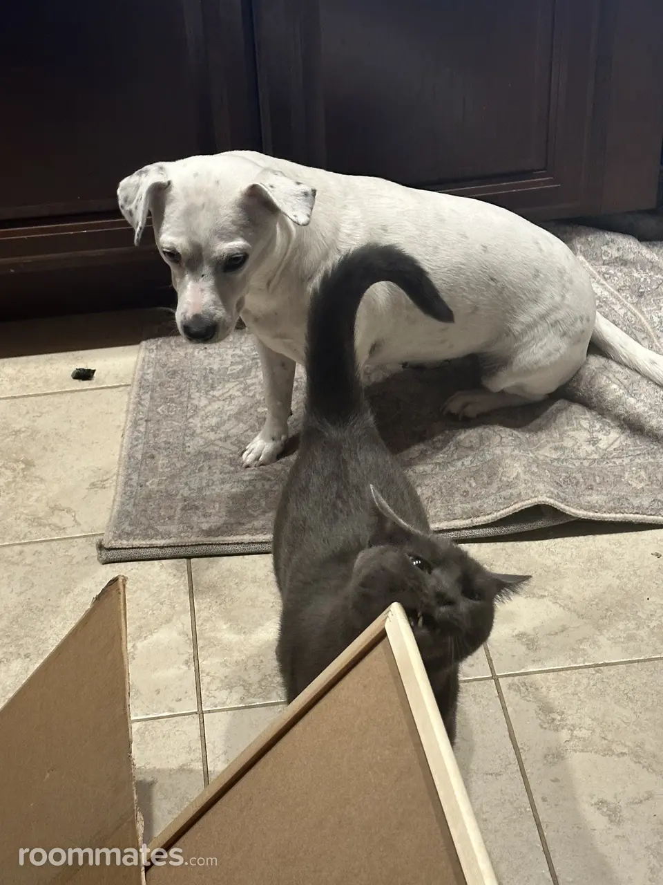 Profile photo 1 of 2