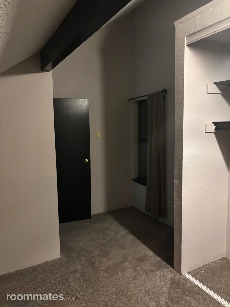 Profile photo 7 of 8