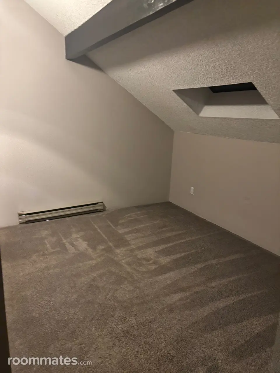 Profile photo 6 of 8