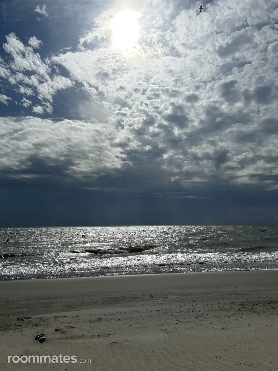 Profile photo 7 of 9